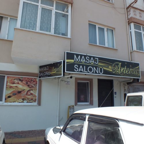 DSCF9153 (Kopyala)